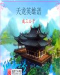 天龙英雄谱