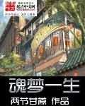 魂梦一生