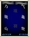 力拔山气盖世