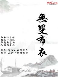 无双布衣
