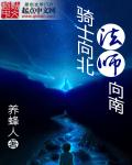 骑士向北法师向南
