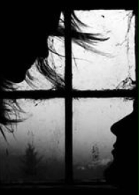 如果阳光也曾如花绽放