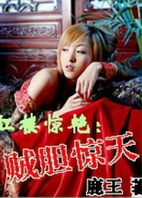 红楼惊艳：贼胆惊天