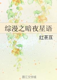 综漫之暗夜星语