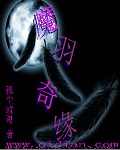 魔羽奇缘