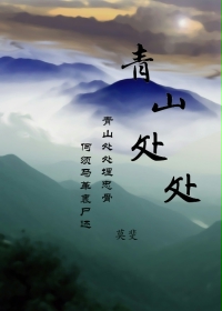 青山处处