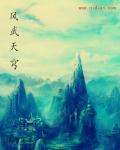 风武天穹