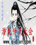 潜龙升天大会