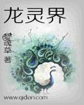 龙灵界