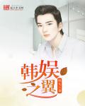 韩娱之翼