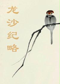 龙沙纪略