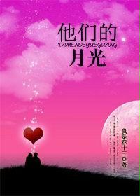 他们的月光
