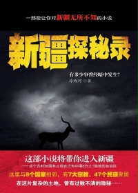 新疆探秘录合集