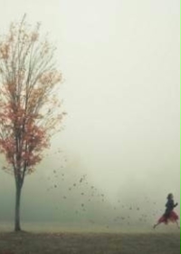 等不了一百年了