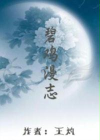 碧鸡漫志