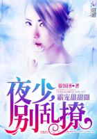 霸宠甜甜圈:夜少,别乱撩