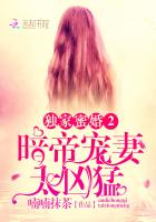独家蜜婚2:暗帝宠妻太凶猛
