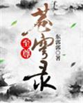 至尊苍穹录