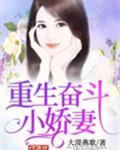 重生奋斗小娇妻