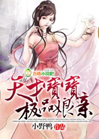 天才宝宝极品娘亲