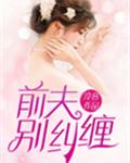 前夫，别纠缠