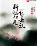 断鸿归处飞云乱